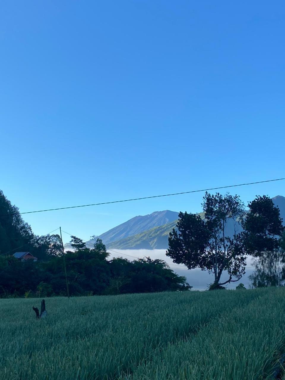 Pondok Bali Volcano كوبوبانلوكان المظهر الخارجي الصورة